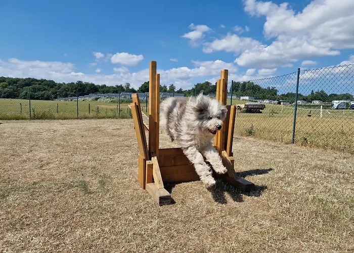 Ostseeferienpark Walkyrien - Bootsmann 11 Schashagen